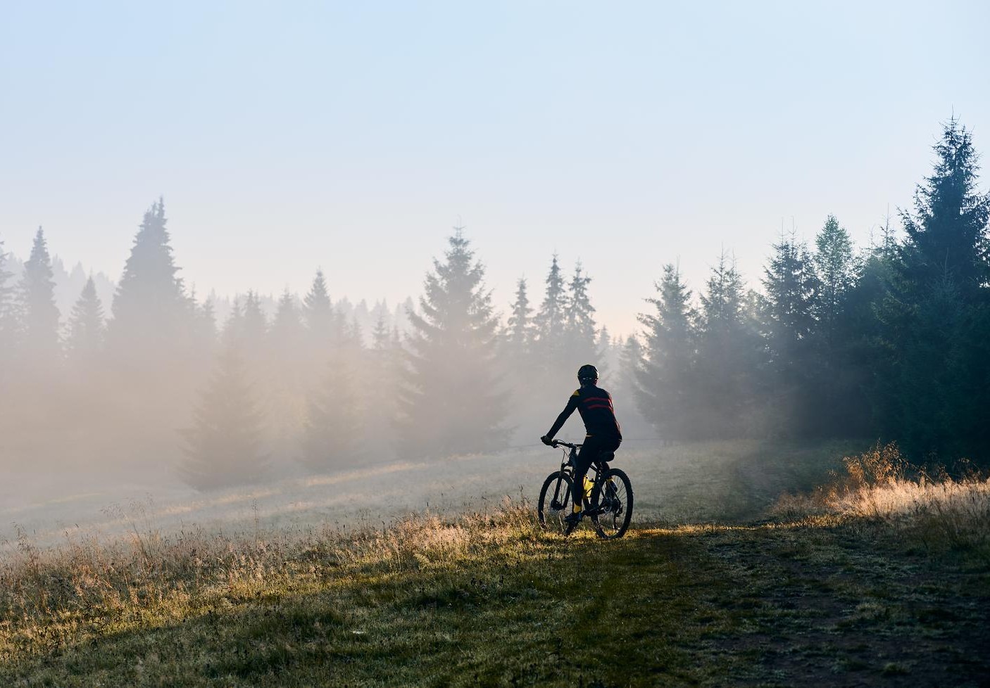 Велопрогулки